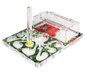 Осьминожка