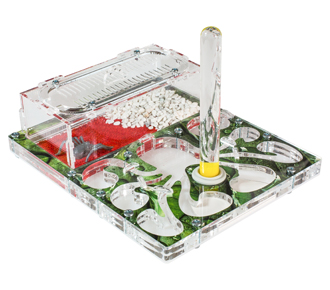 Осьминожка